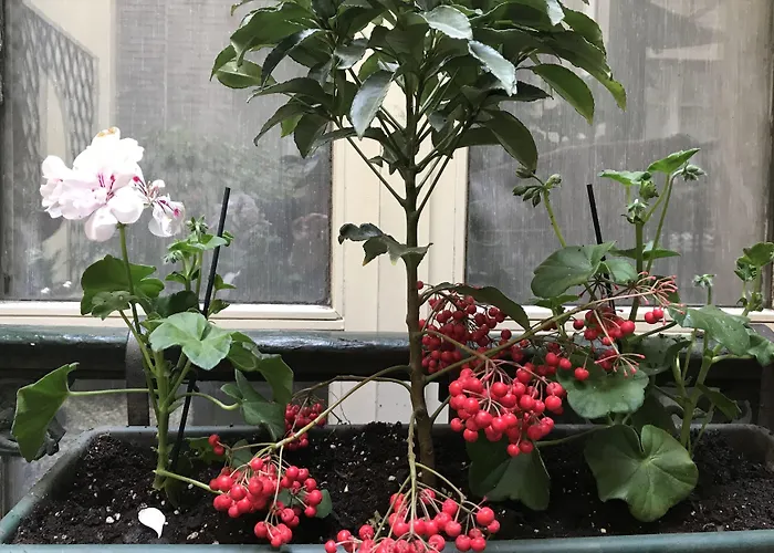 ドゥ フランス アンヴァリッド ホテル